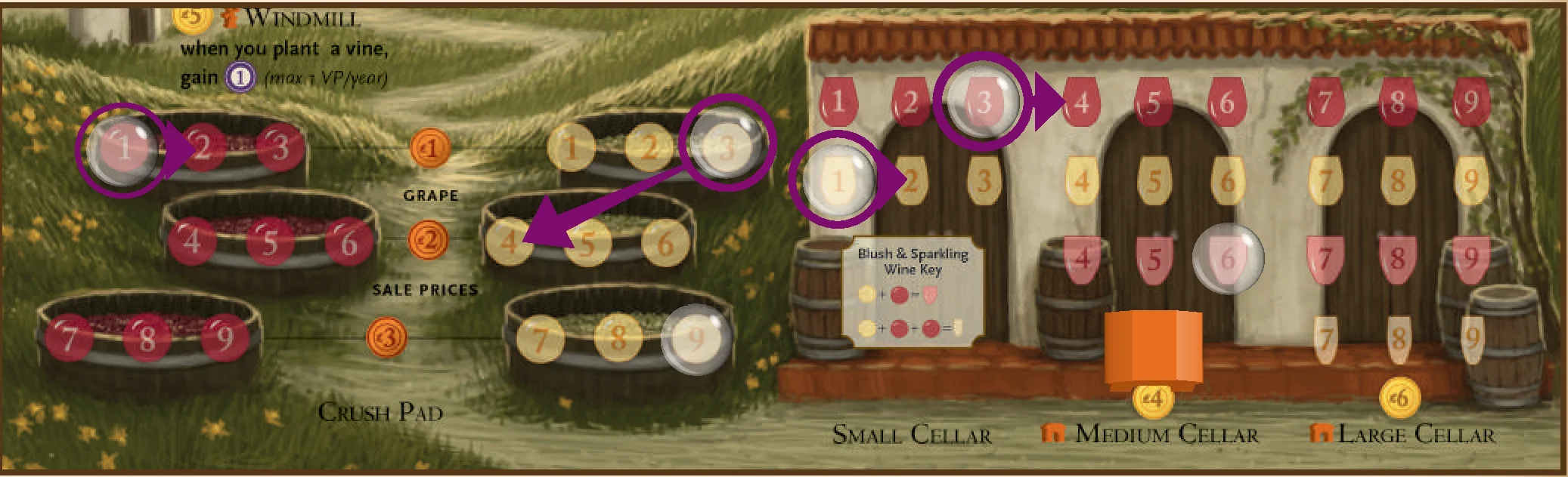 Aging Grape and Wine Tokens Diagram