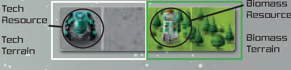 anatomy of a polyomino tile