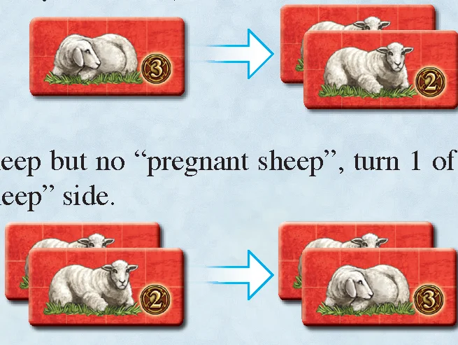 Animal breeding pregnant turn example