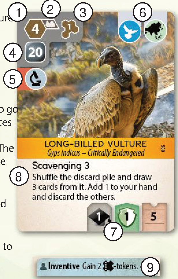 Animal Card layout anatomy diagram