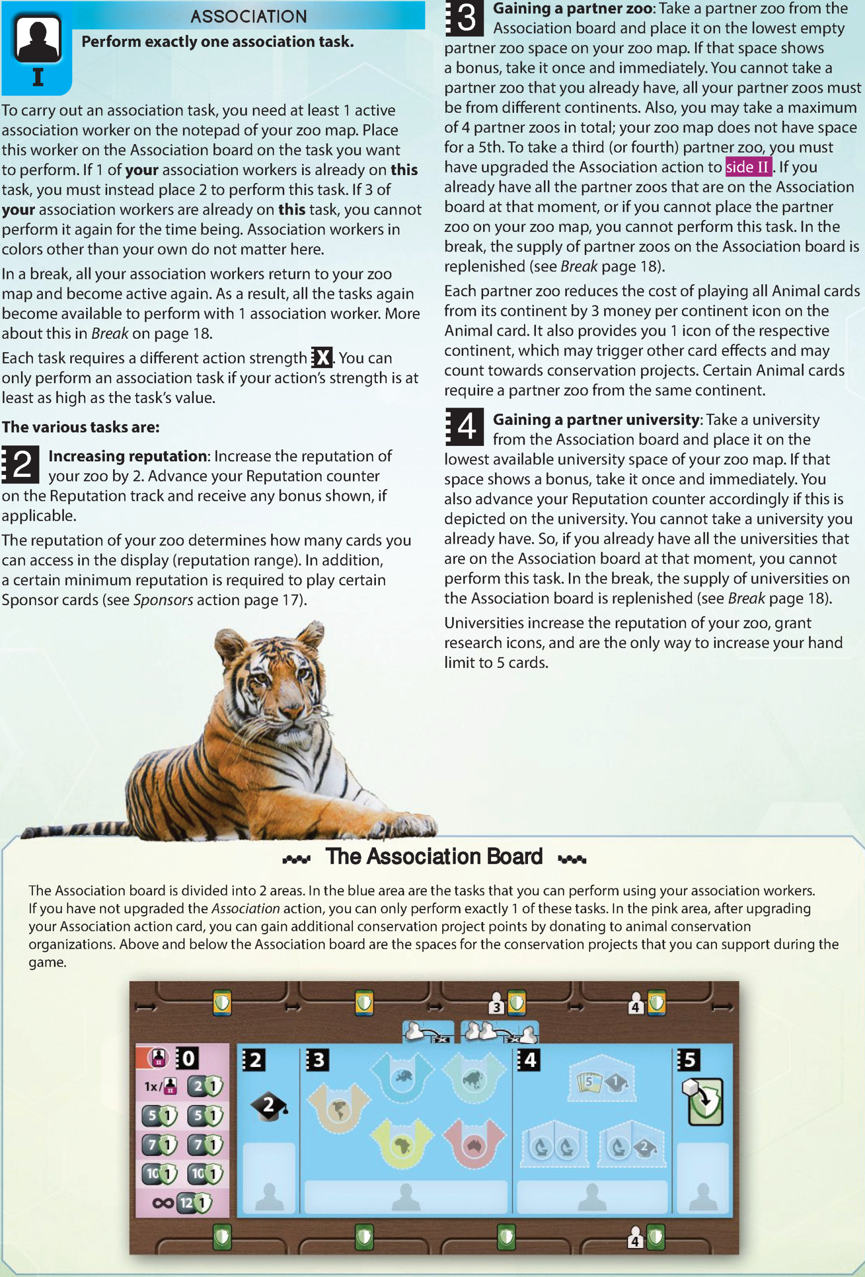 Association action side I card and Association board layout