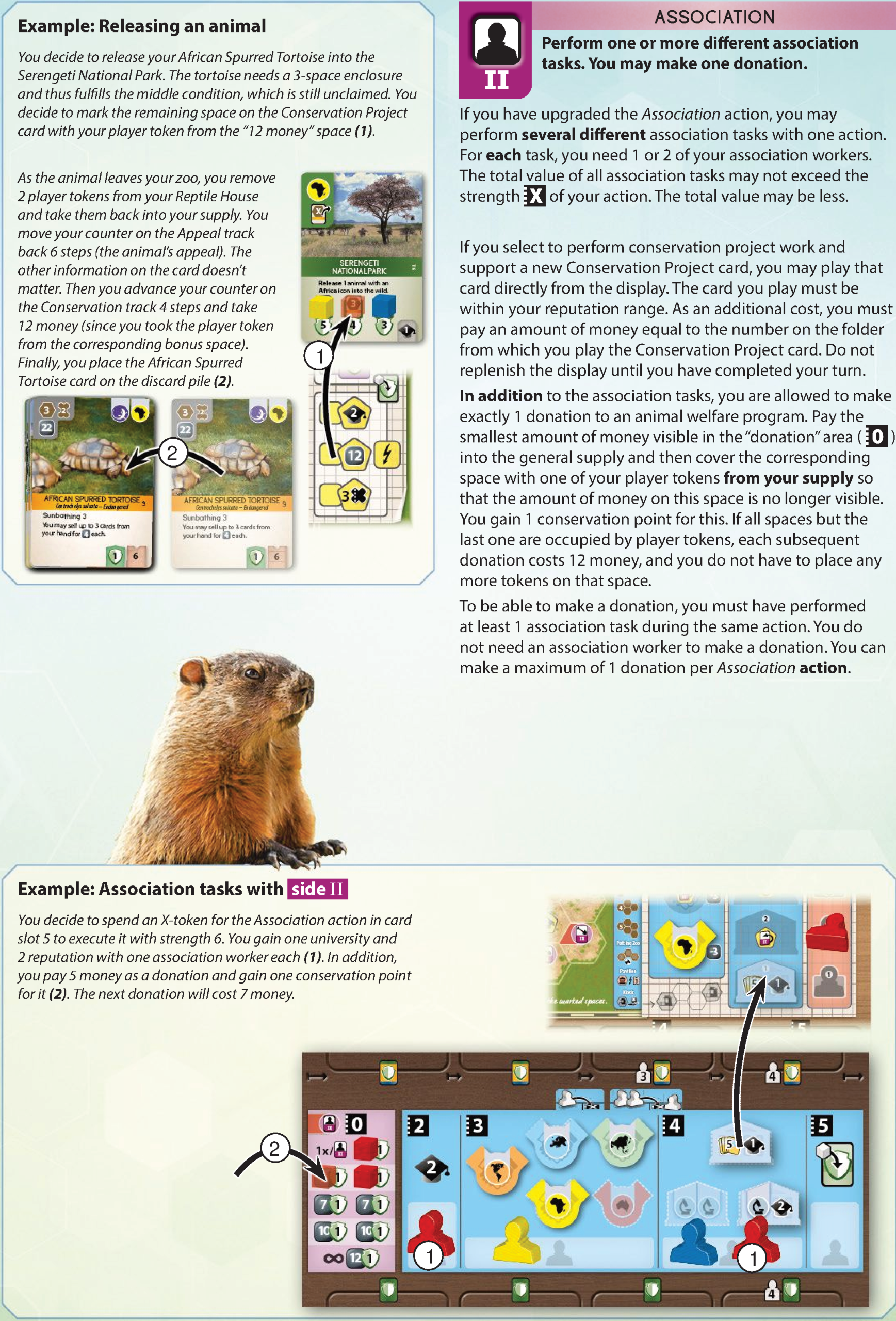 Association side II card and examples of donations and releasing an animal
