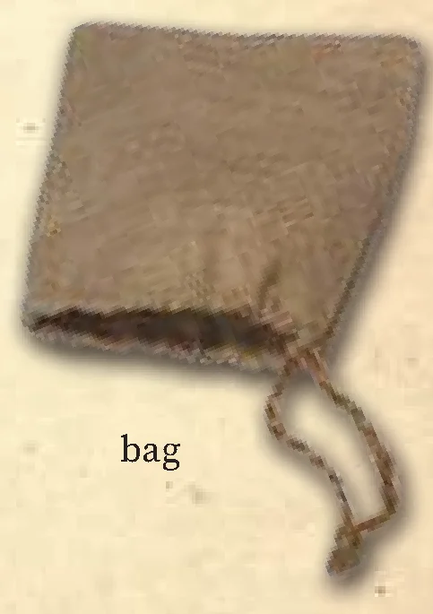 Bag