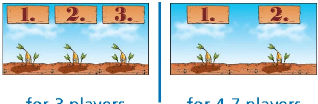 bean_field_mats_variant
