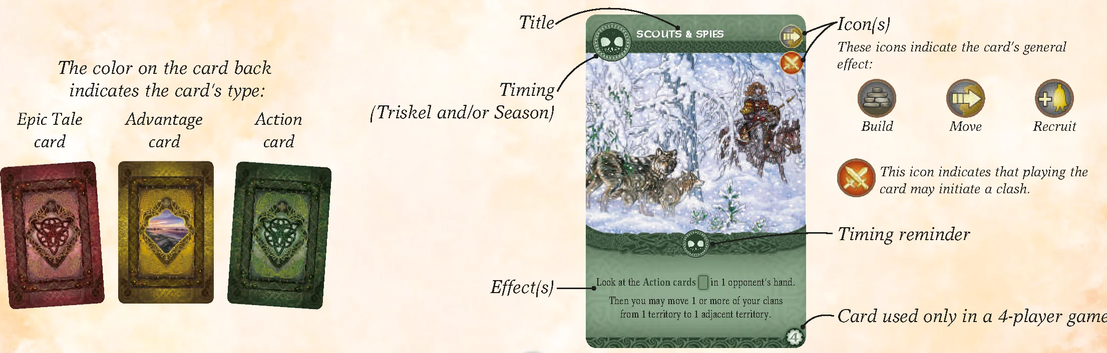 Card Anatomy and Details