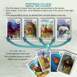 PDF Preview