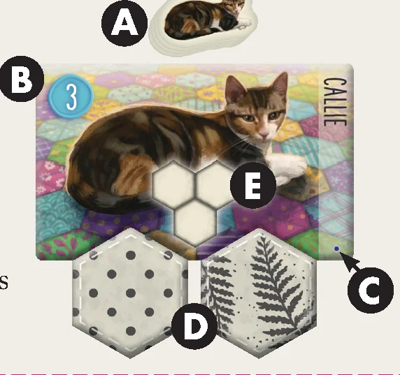 cat_scoring_tile_anatomy