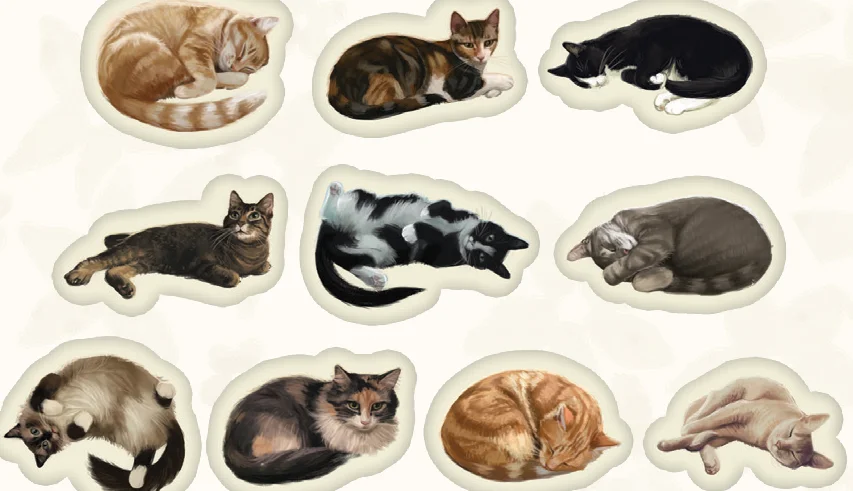 cat_tokens