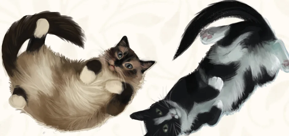 cat_tokens_illustration