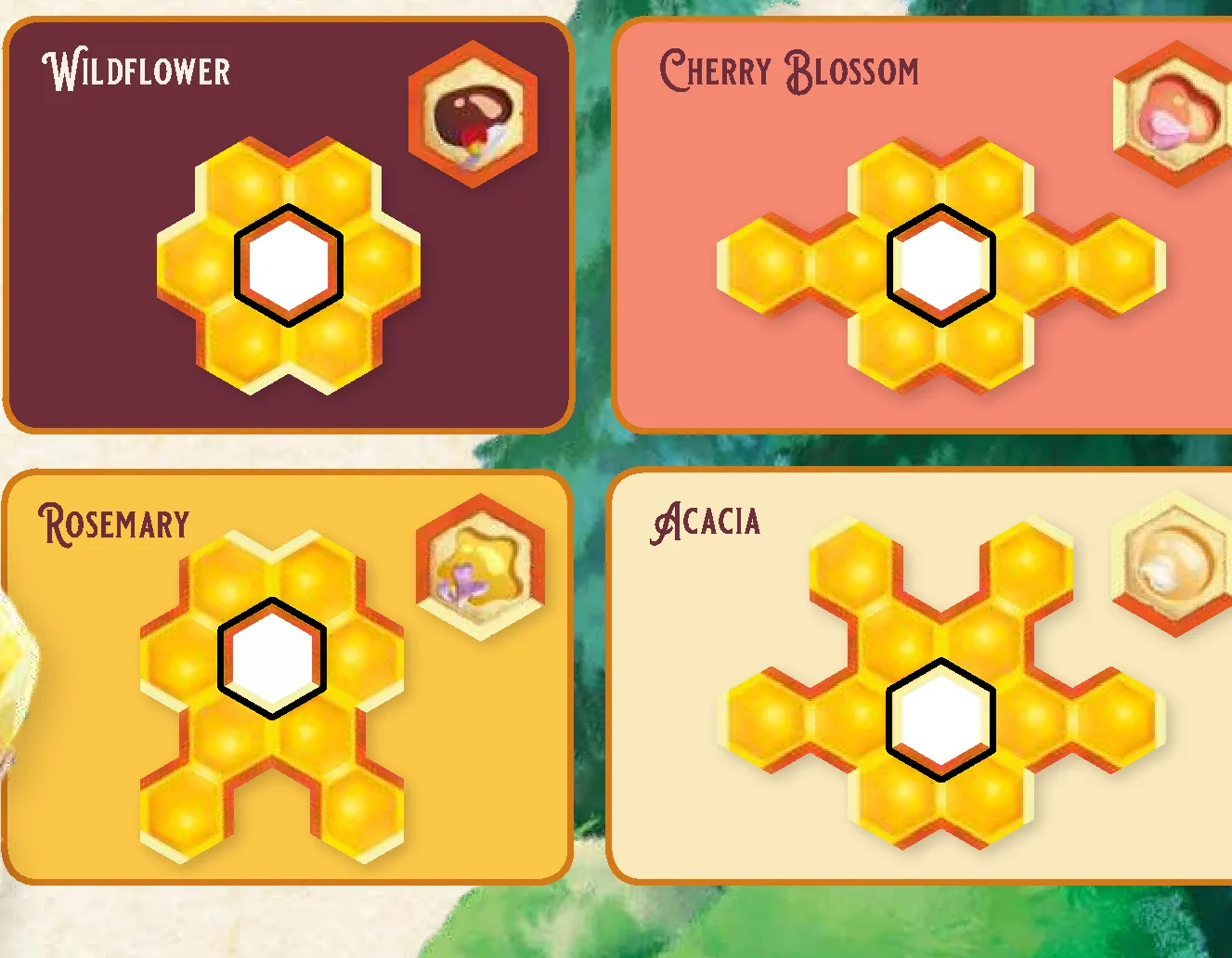 cell_patterns_diagram