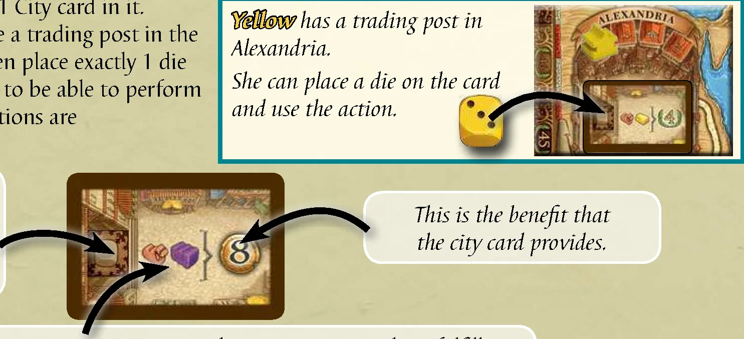 city_card_anatomy