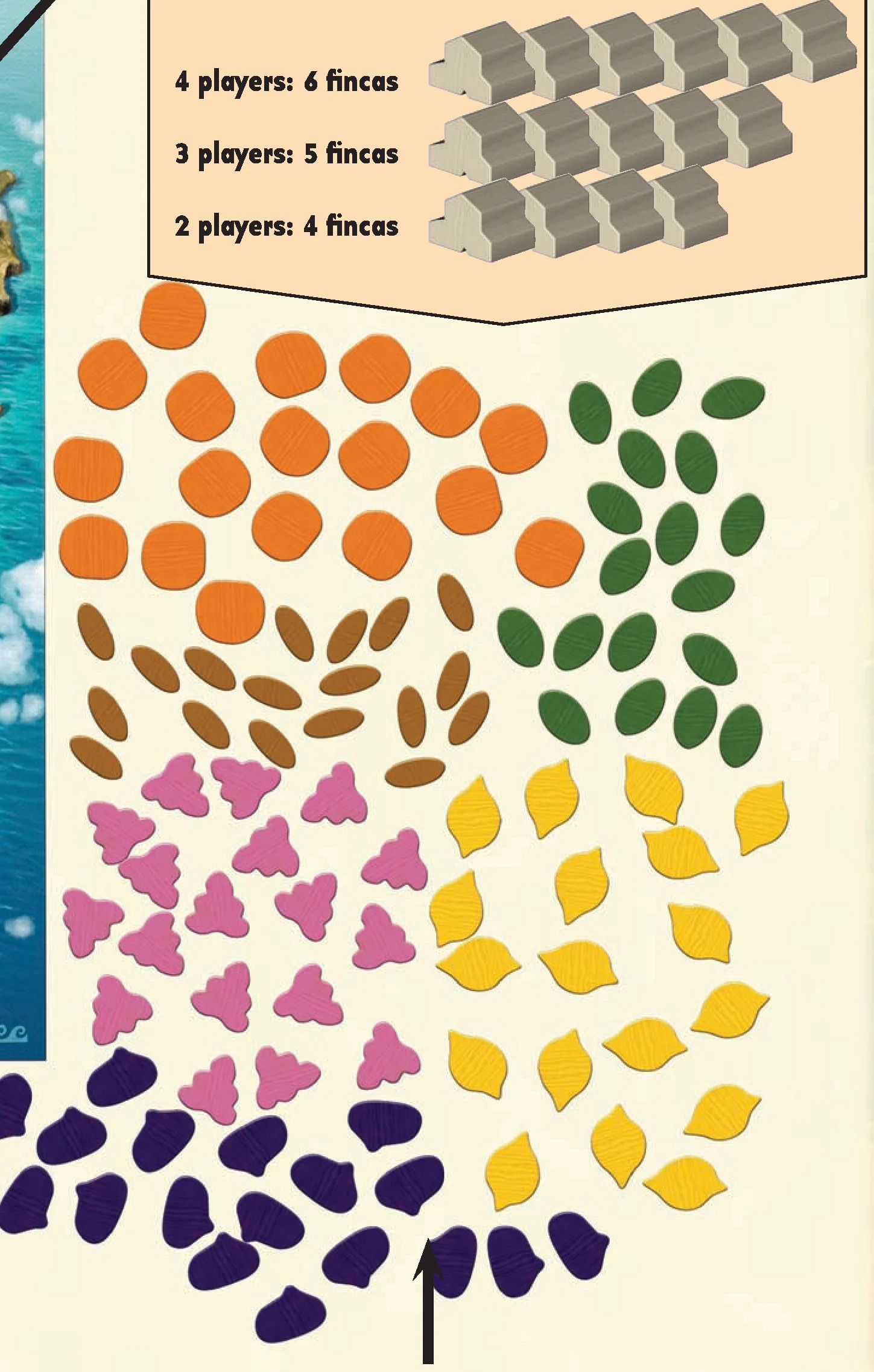 Components setup: fruits, action tiles, wooden fincas