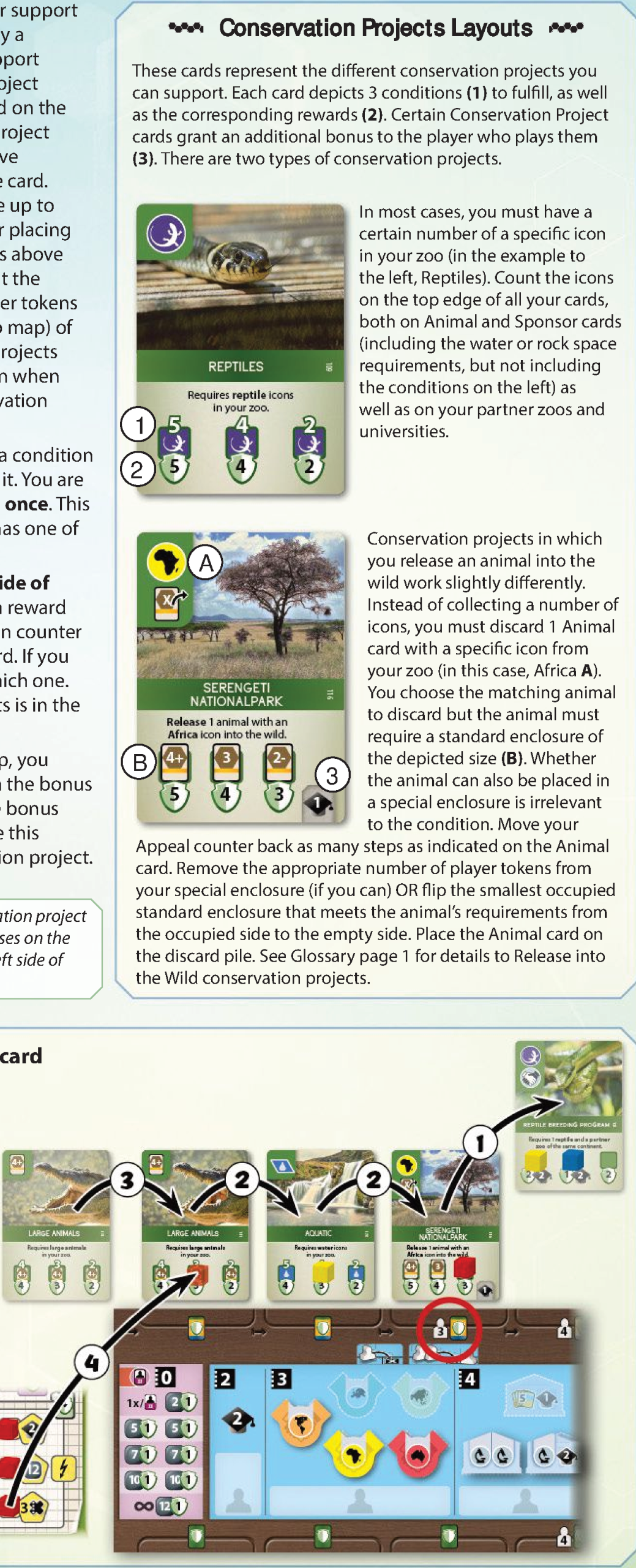 Conservation Project cards layout and example of playing a project card