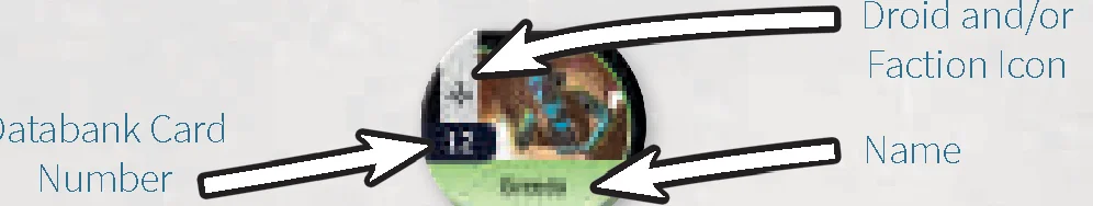 contact token anatomy