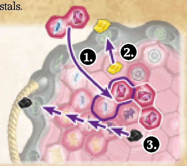 Crystal movement and vial rack examples