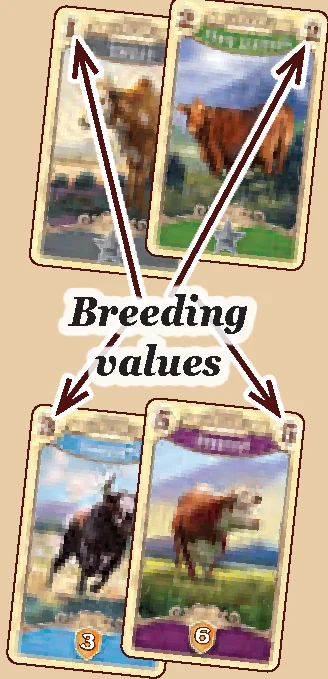 deck_building_cards