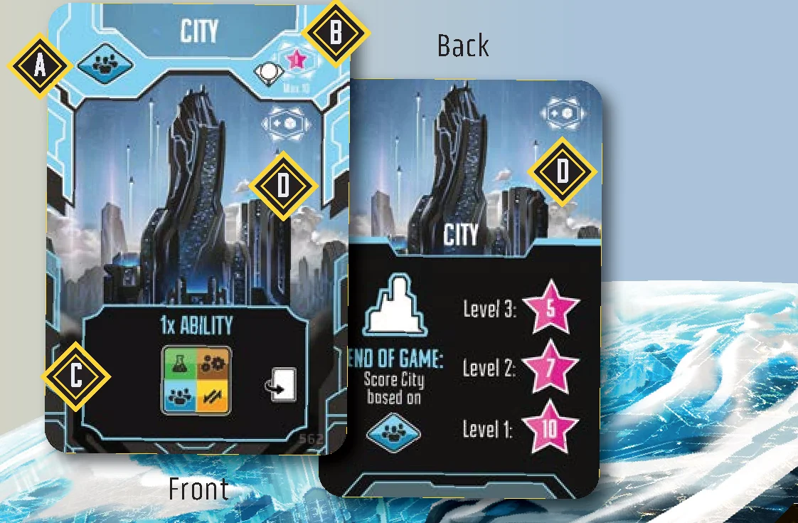 Development Card Anatomy