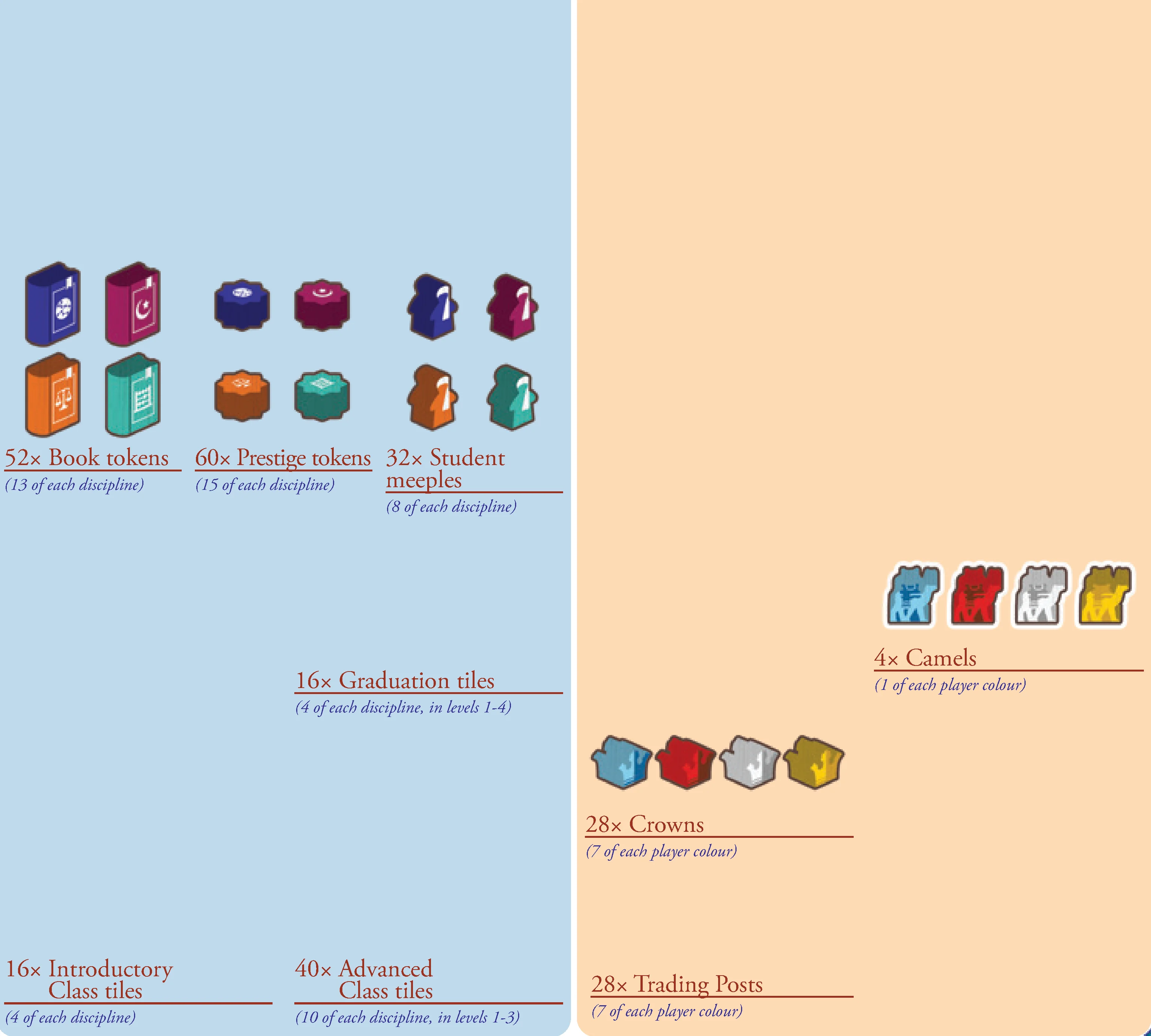 Discipline and Player Components Overview
