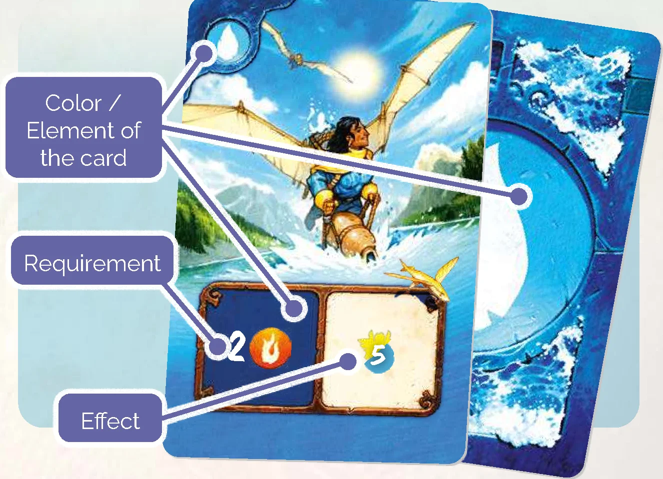 element card anatomy