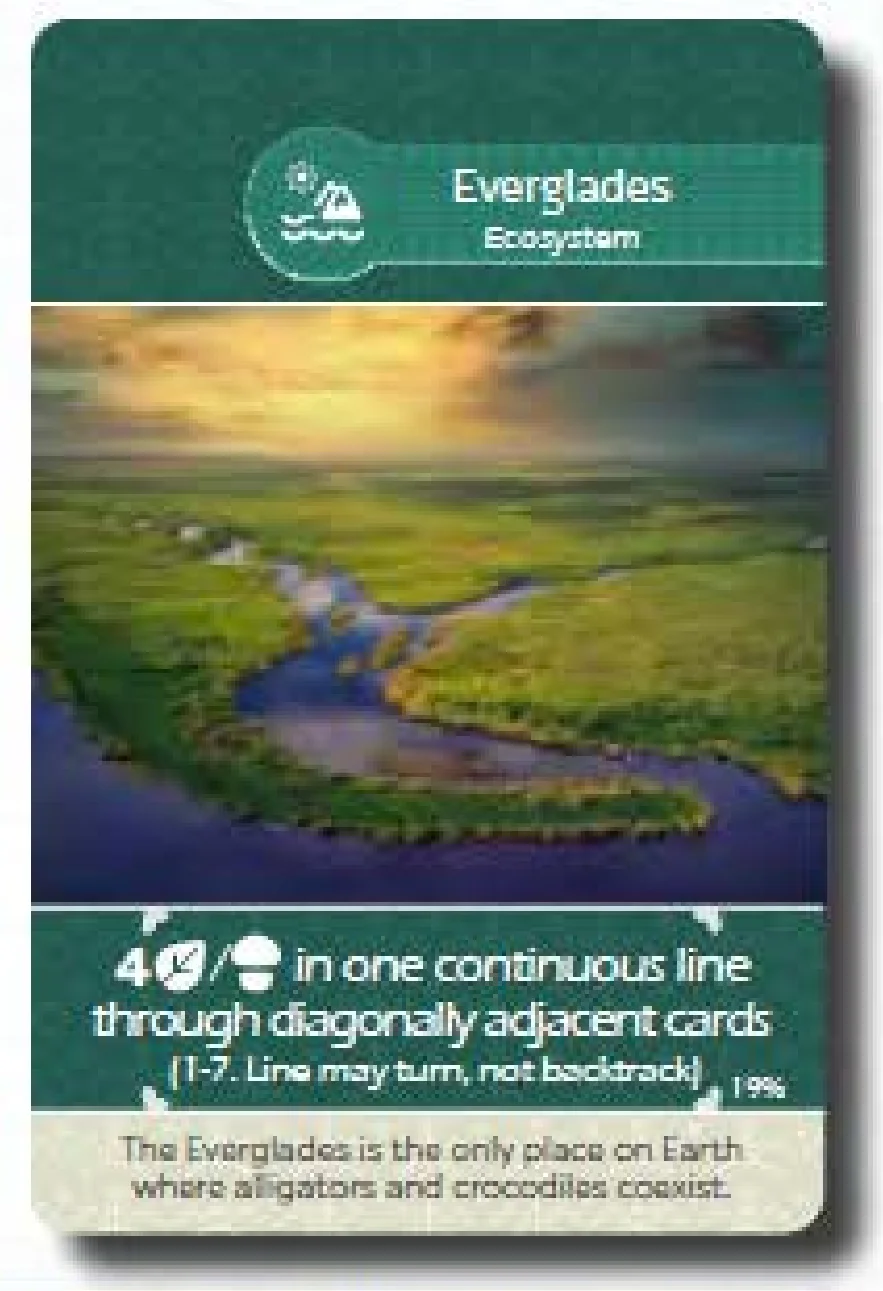 Everglades Ecosystem Card Example