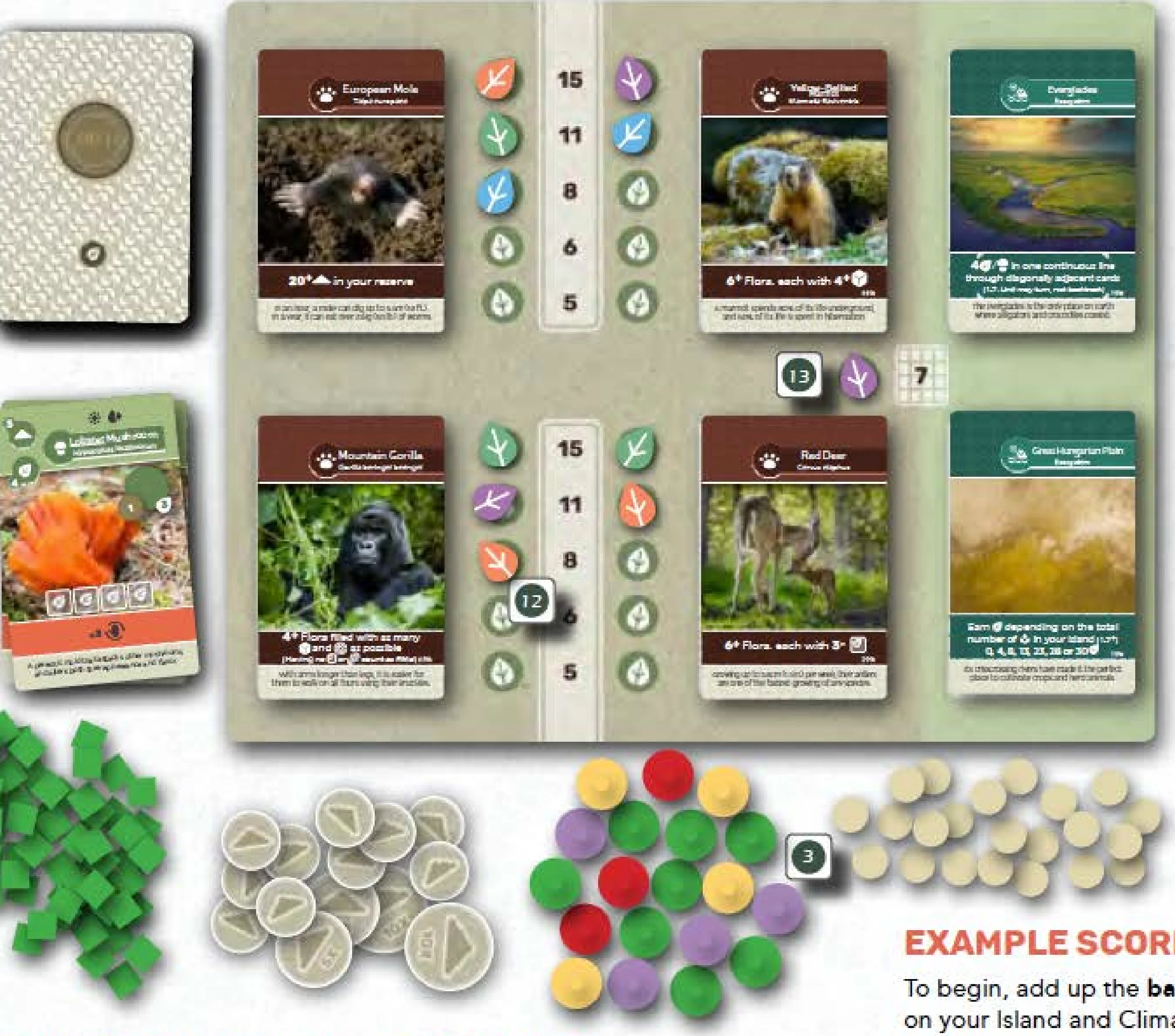 Example of a Turn - Fauna Board and Activation Steps