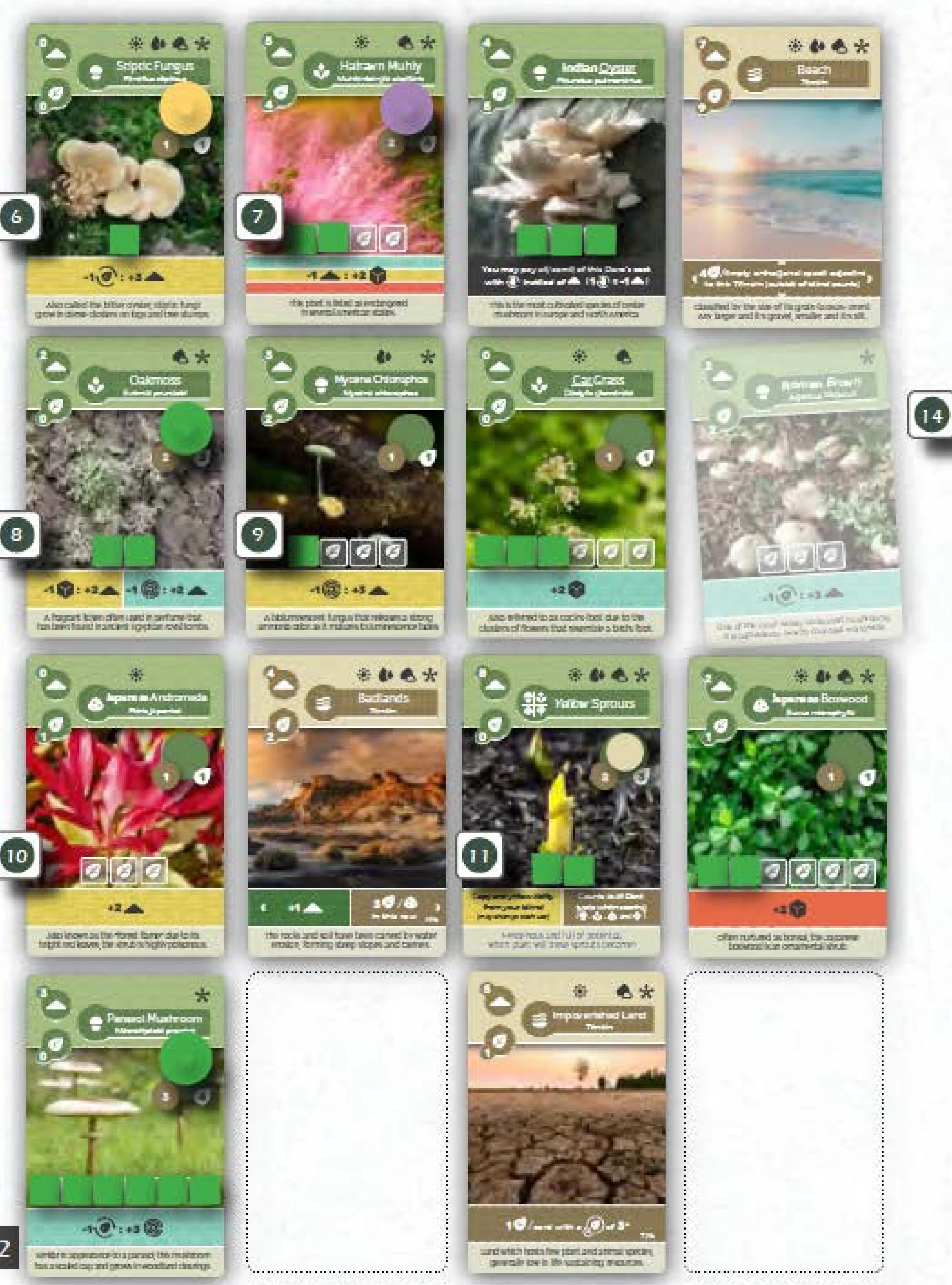 Example of a Turn - Player Board and Tableau Overview