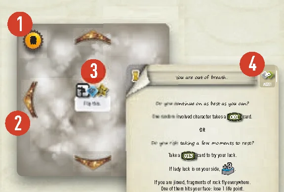 Exploration card anatomy