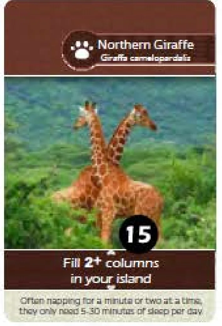 Fauna Card