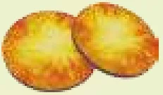 Fire tokens