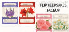 flip_keepsakes_diagram