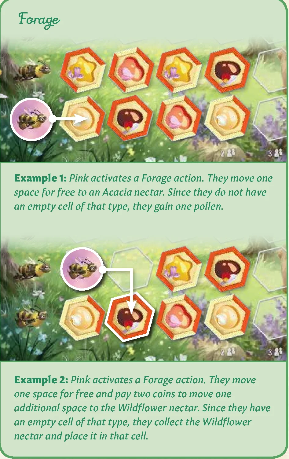 forage_action_examples
