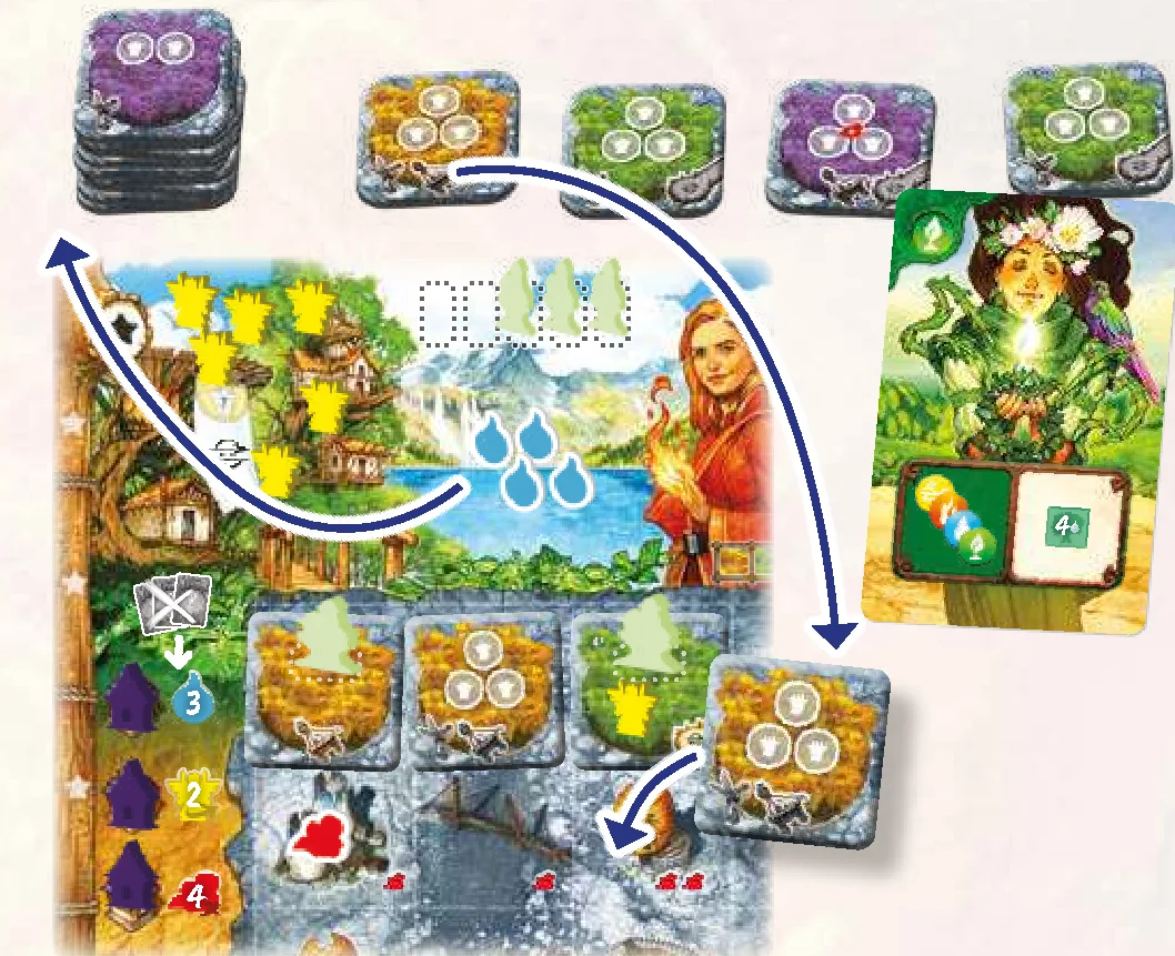 forest placement example