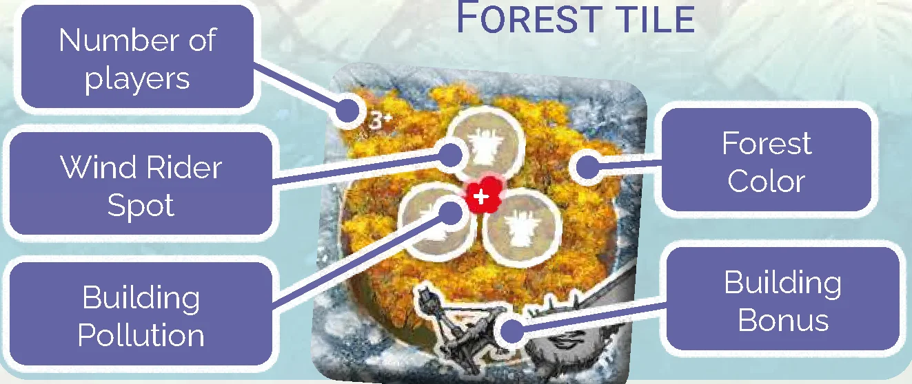 forest tile anatomy