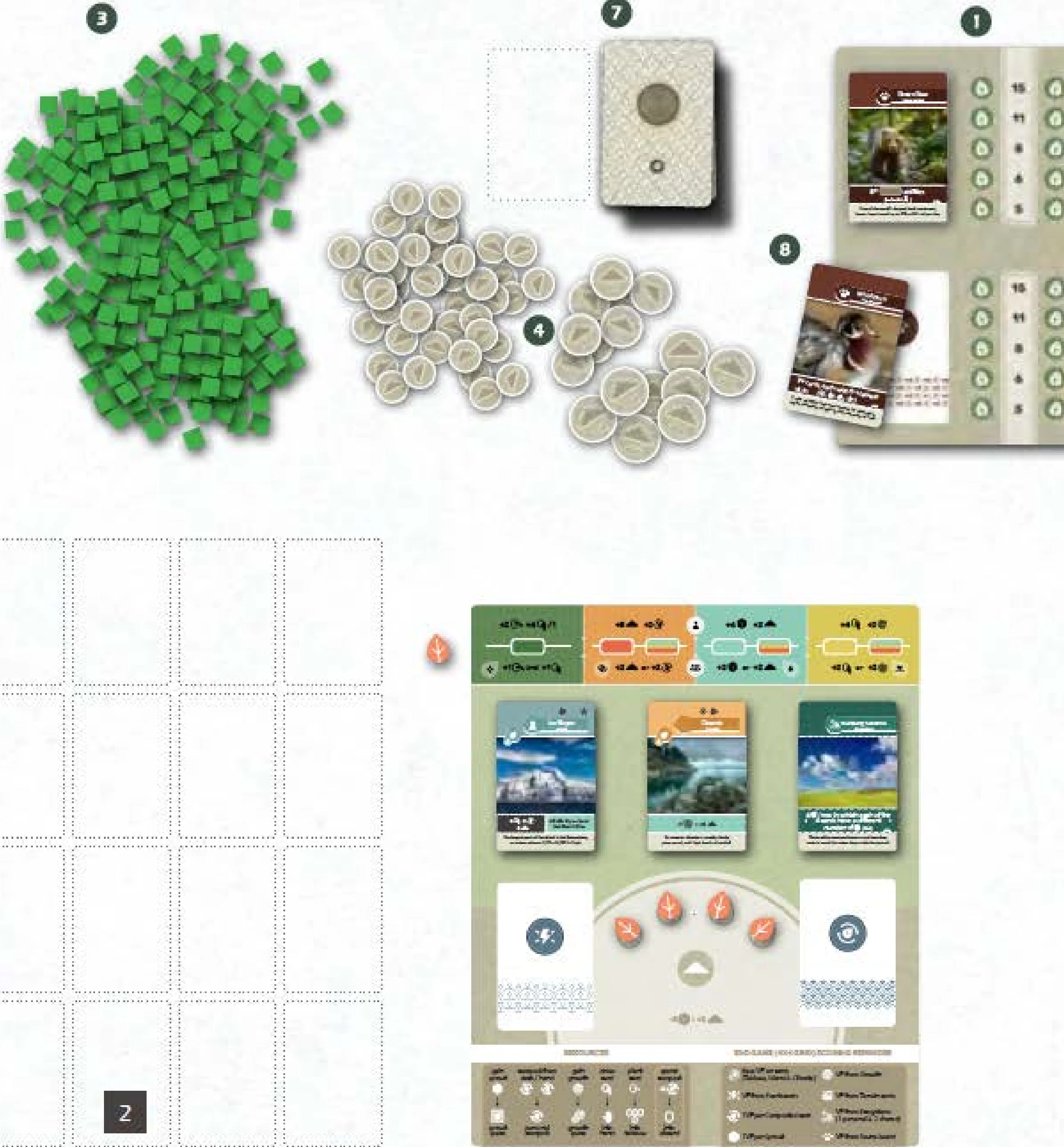 Game Setup and Components Display
