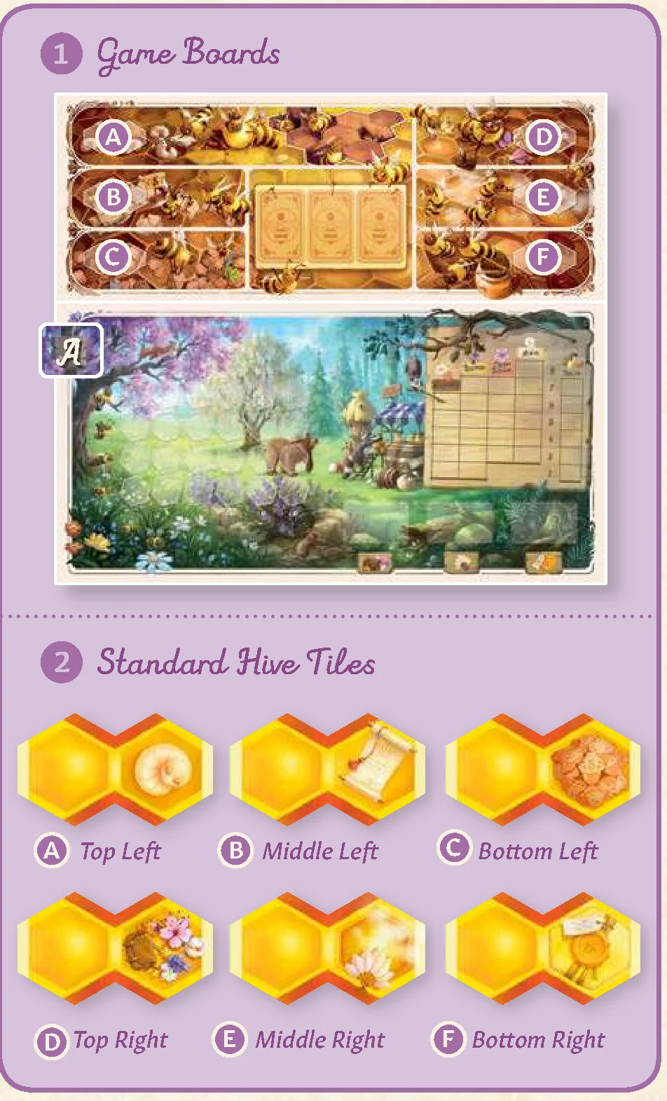 game_setup_hive_and_woodland_boards
