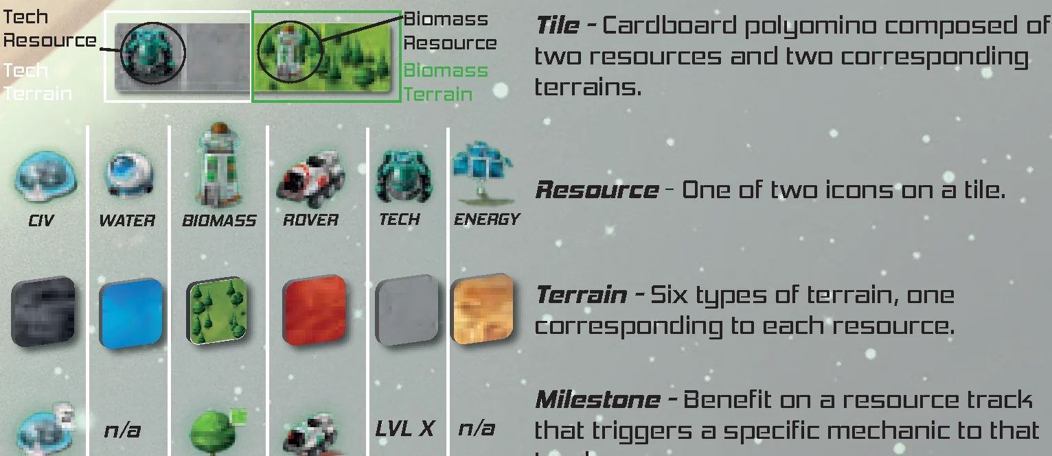 glossary polyomino and terrain anatomy