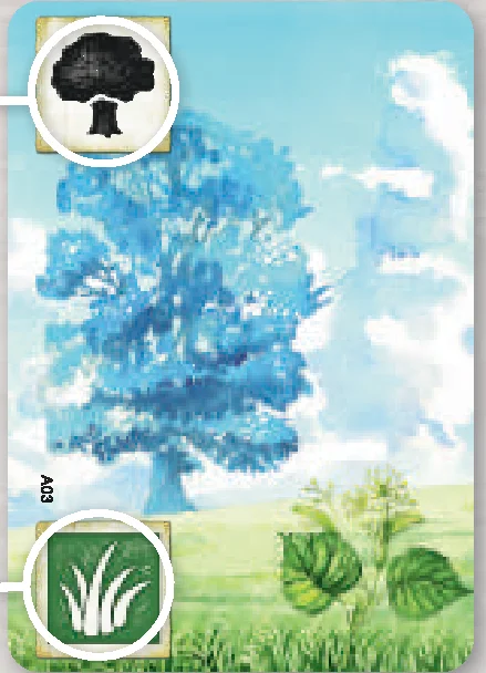ground_card_anatomy