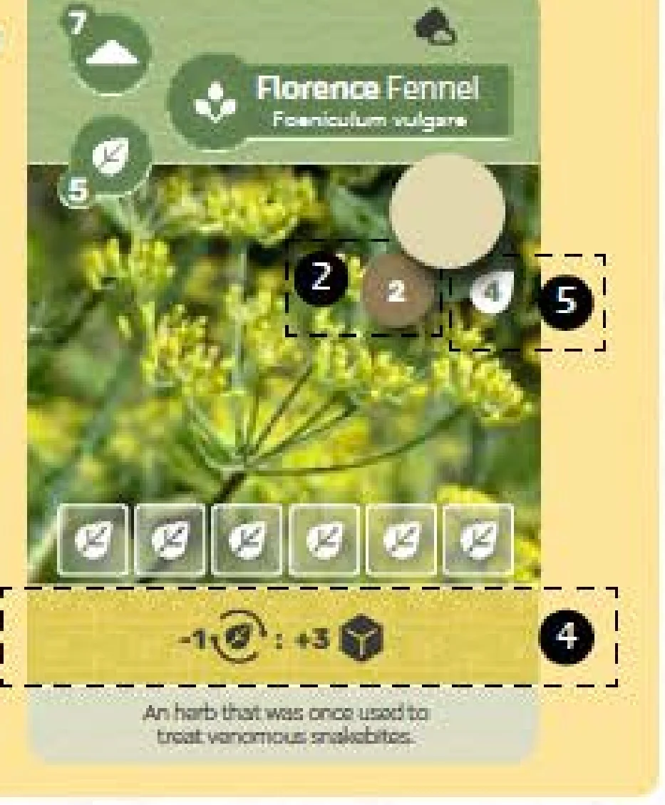 Growing Action and Canopy Diagram