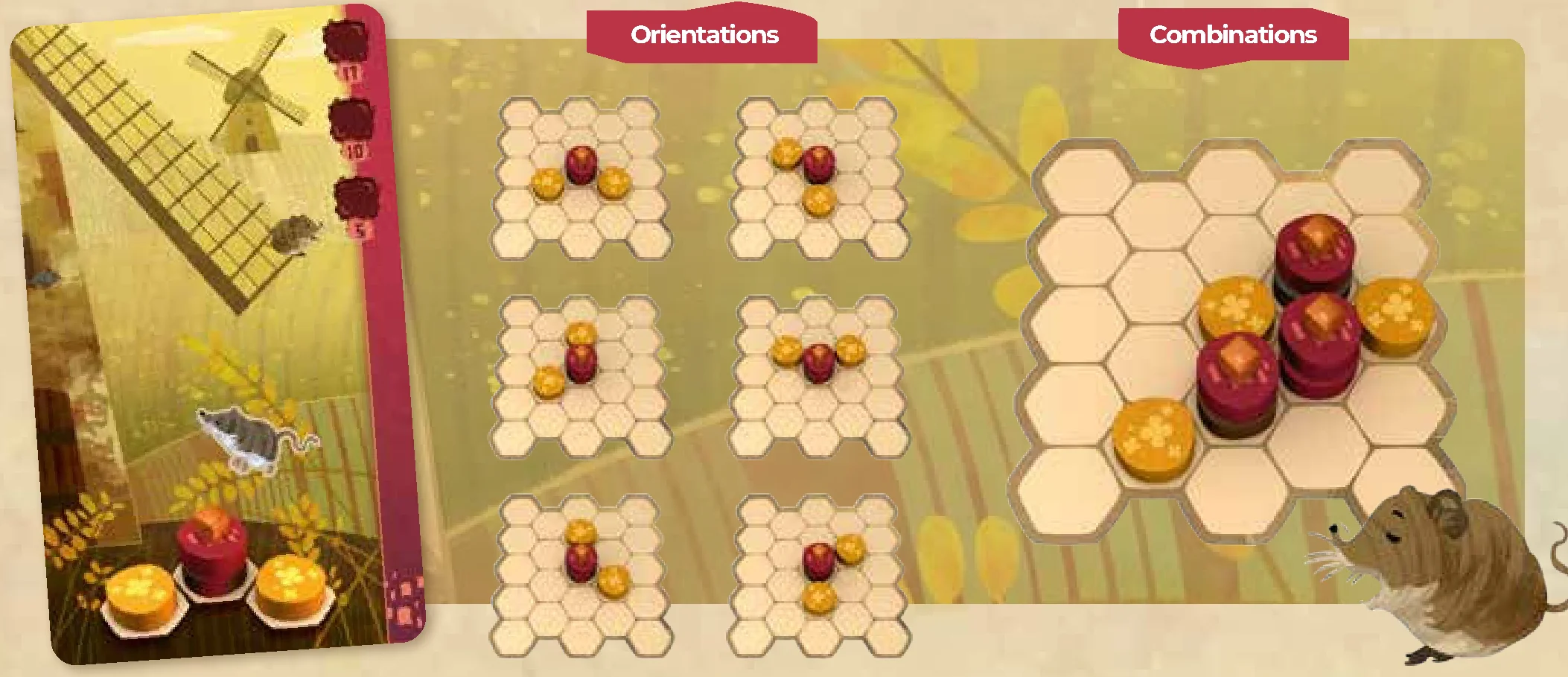 Habitat Orientations and Combinations