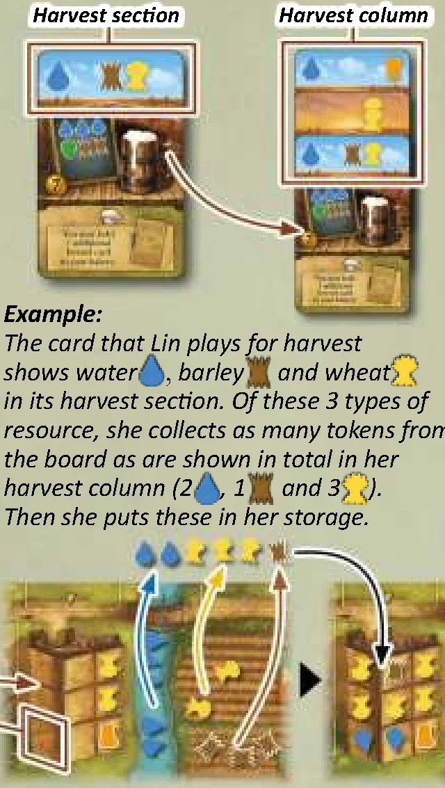 Harvest and store example