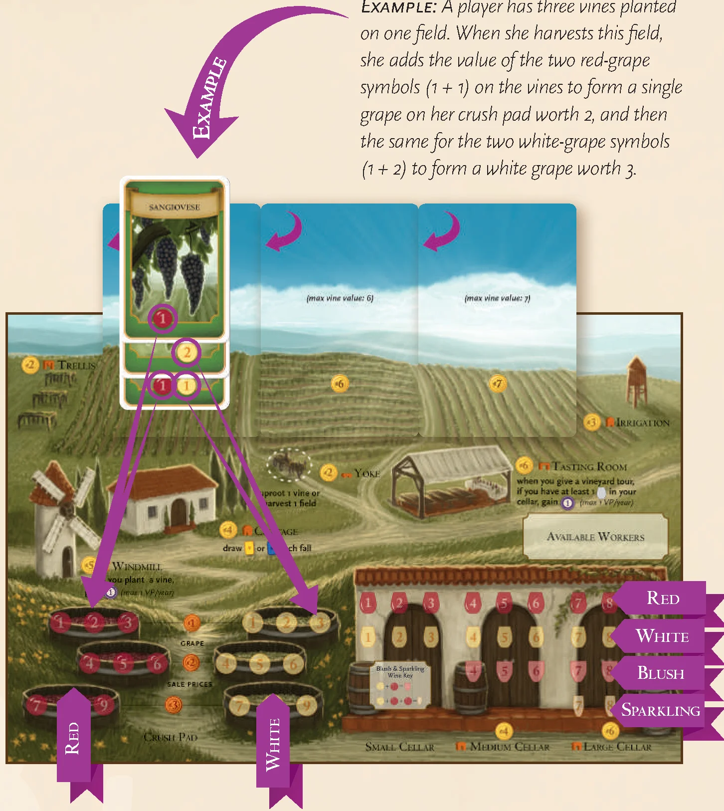 Harvesting Fields Diagram Example