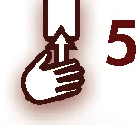 Action 5