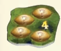 Any fruit