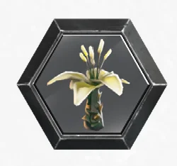 Apoca bloom