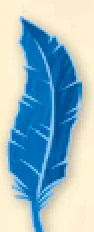 Blue quill