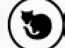 Civet cat