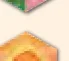 Flower tile