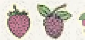 Fruit tokens Fruit tokens