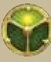 Level 1 tech