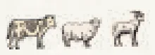 Livestock tokens Livestock tokens